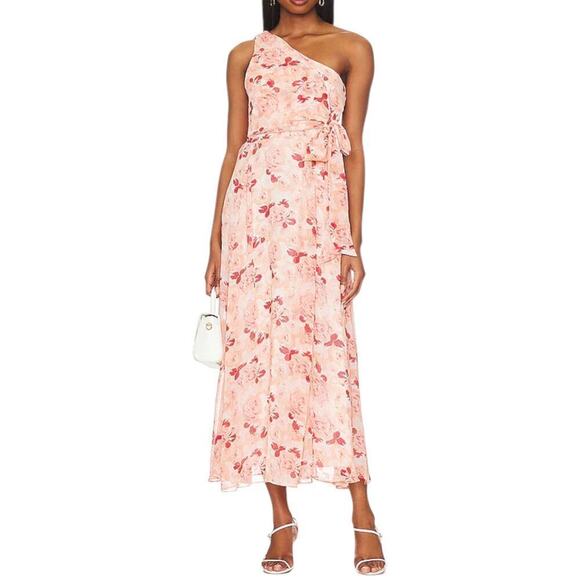 Likely Dresses & Skirts - New Women’s Likely Benji Dress Size 4